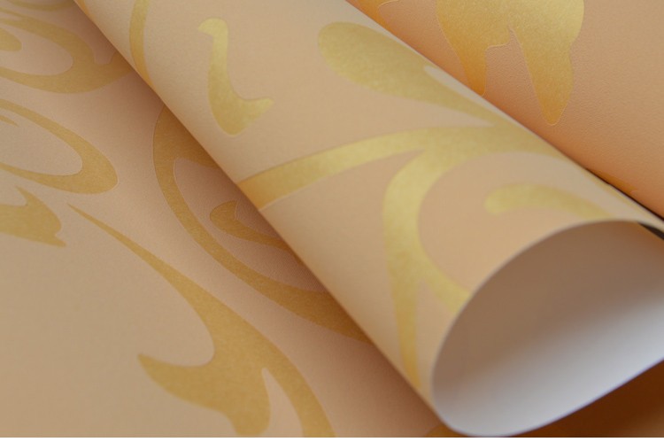 HTB1D4T6LpXXXXbGXXXXq6xXFXXXQ