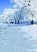 snow photography background ice tree stor photo props vinyl 5x7ft or 3x5ft for studio backdrops winter