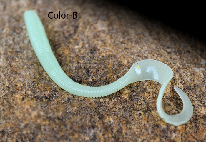 Trulinaoya Smooth Worm 07