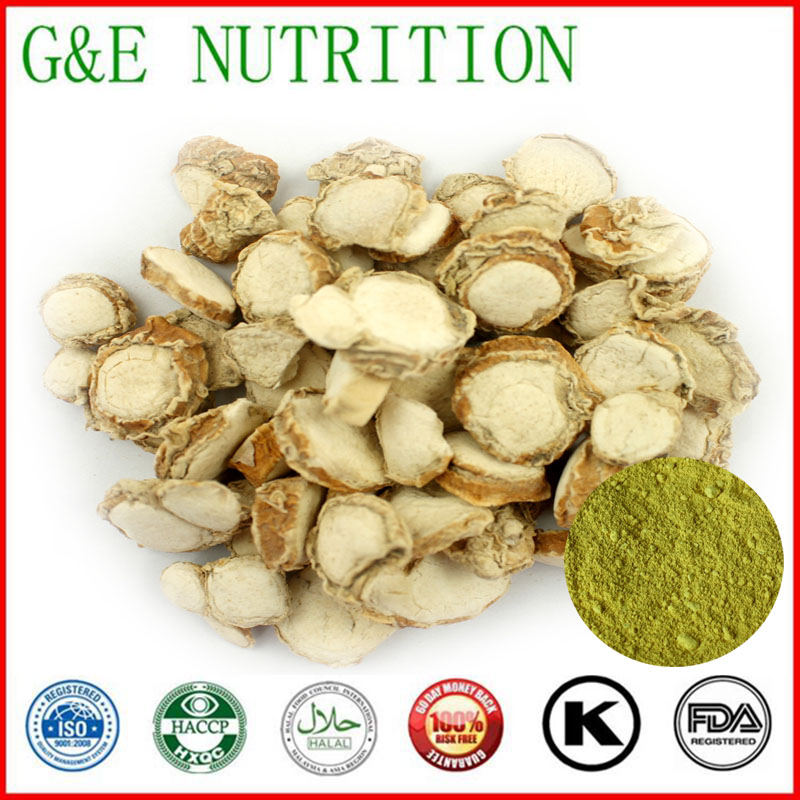 400g High quality Kaempferol  Extract with free shipping, 10:1