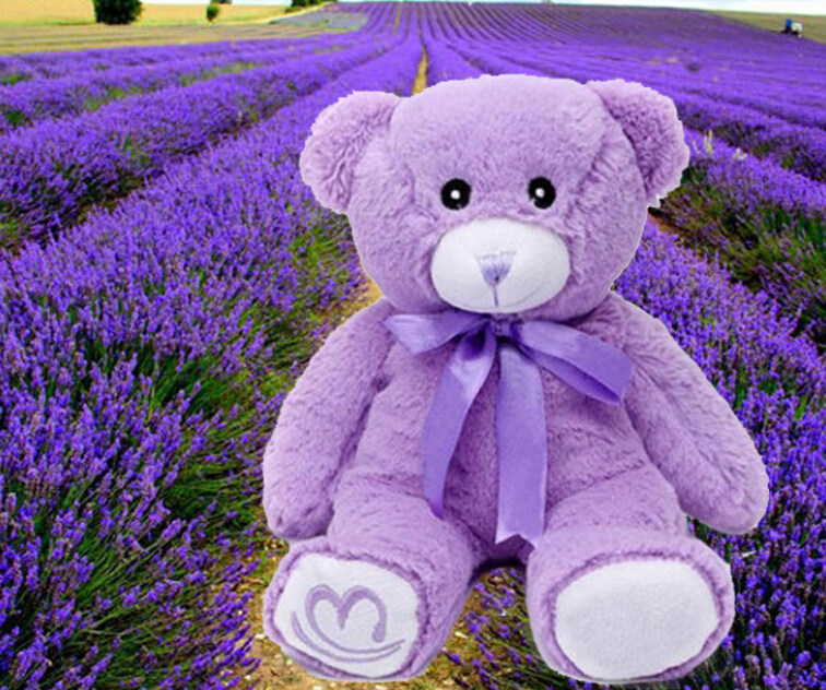2015-New-Style-20CM-Cute-Purple-Bear-Plu