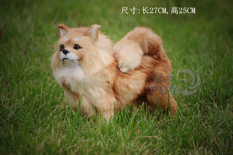 real pomeranian compare prices on pomeranian shopping buy low price pomeranian at real pomeranian compare prices on pomeranian shopping buy low price pomeranian at