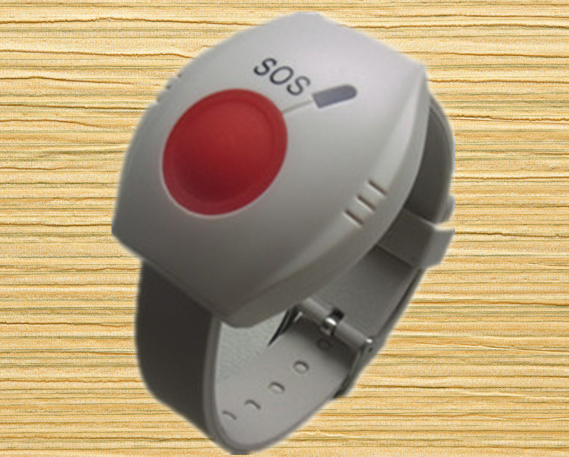 panic button security systems