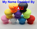 2015 New Wireless Bluetooth Speaker Waterproof Mini Portable Bluetooth Speaker Shower Speaker For Samsung S5 S6