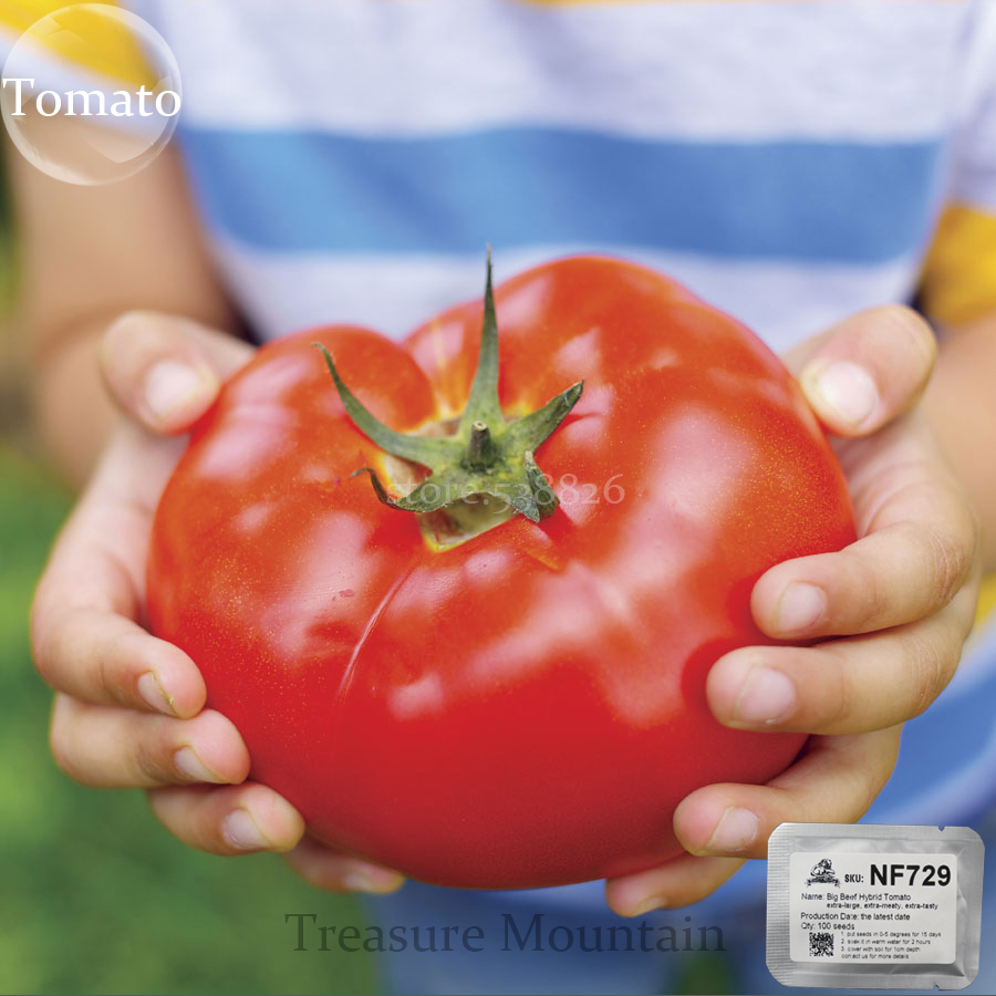 Big Beef Hybrid Tomato Seeds, Professional Pack, 100 Seeds / Pack, Extra-large, Extra-meaty, Extra-tasty Tomato #NF729