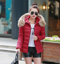 free Shipping 2015 new winter coat cotton dress lady down big fur coat jacket slim girl