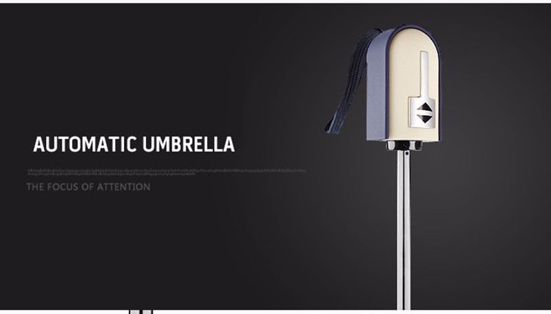 umbrella (10)