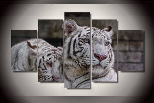 (Unframed)Printed White Tiger Painting On Canvas Room Decoration Print Poster Picture Canvas Wall Art Decor Picture