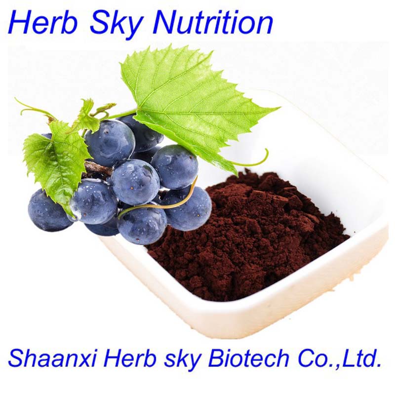 100% water soluble grape seed , grape seed extract , grape seed extract powder 500g/lot