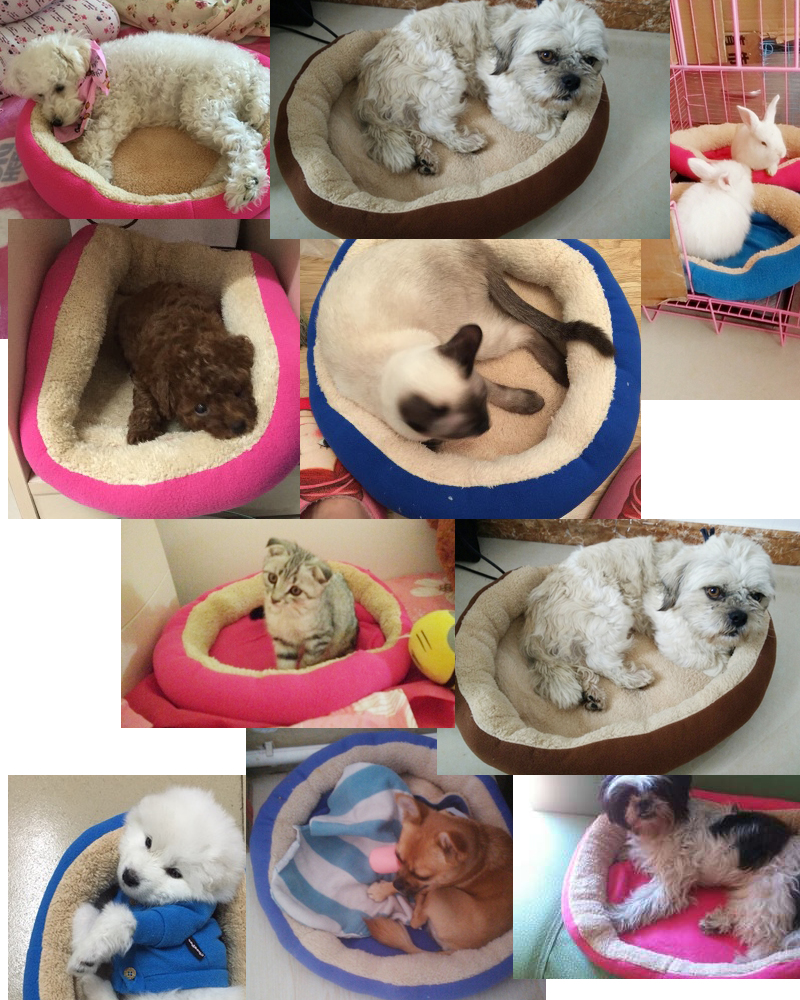 pet kennel- dog house-pet mat 13