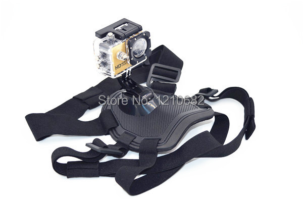 Fig. Image for content