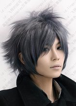 Final Fantasy.Versus.600.Grey short shaggy anime cosplay wig,men’s real hair wigs Classic Cos Wig.free shipping