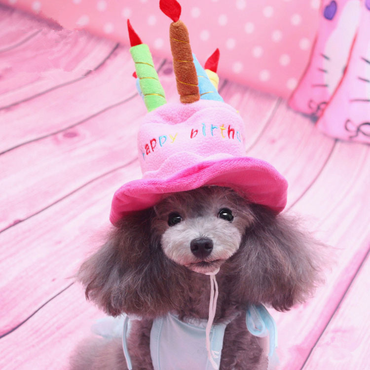 2016       Cap    Hat Pet        chien