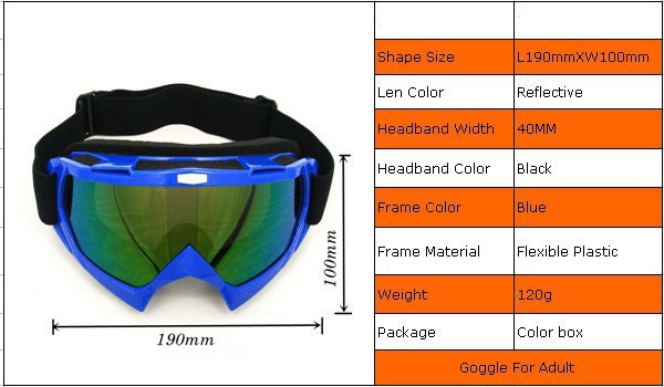 motorcycle goggles (18)