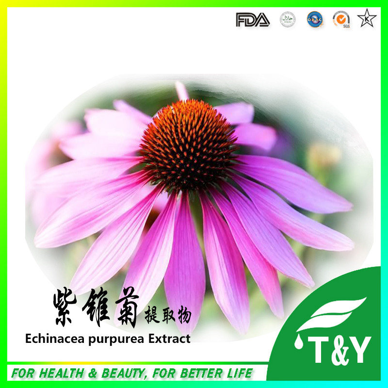Фотография High quality Echinacea Extract Powder