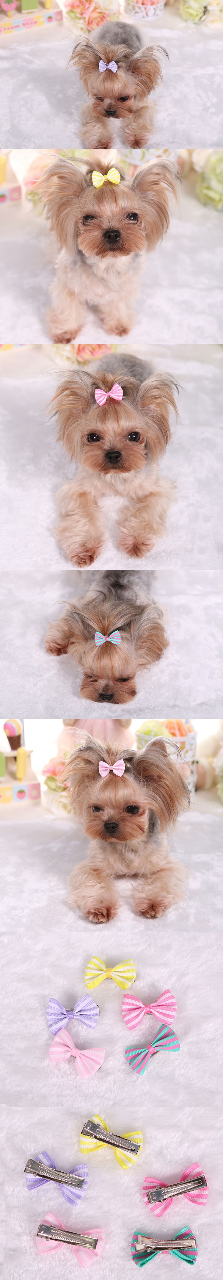 2686077943_1827303196