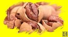 Hot sale Chinese walnut pecan hickory nut with Full walnuts and thin skin A delicious snacks