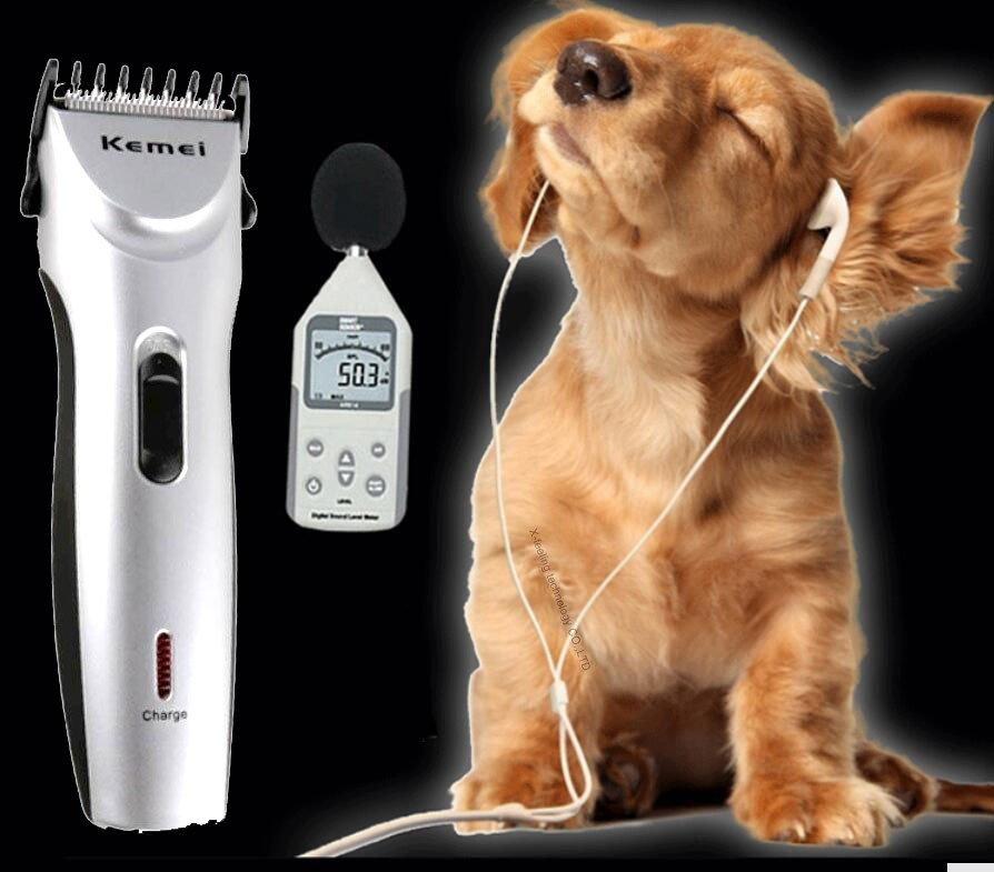 dog hair cutter