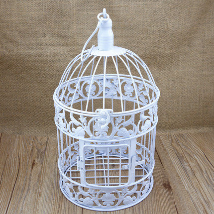           bird cage ,  ,    