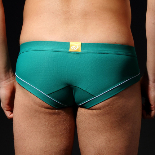 wangjiang men s sexy briefs underwear men mini briefs nylon low waist mesh breathable tange shorts