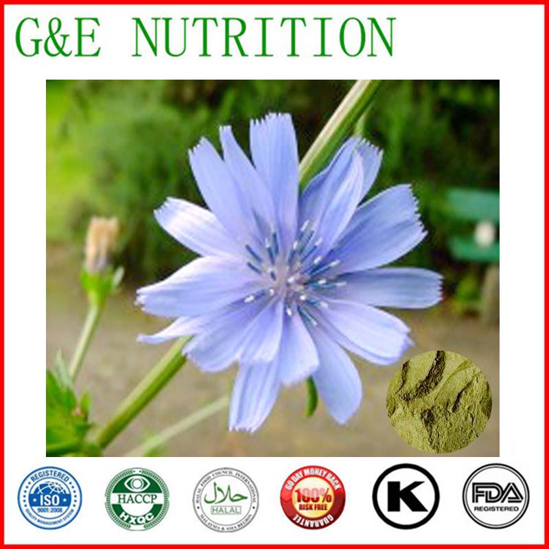 natural chicory root plant extract,chicory root extract powder 1000g