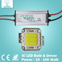Real Full Watt 10W 20W 30W 50W 100w High Power COB LED lamp Beads Chips Bulb with LED Driver For DIY Floodlight Spot light Lawn