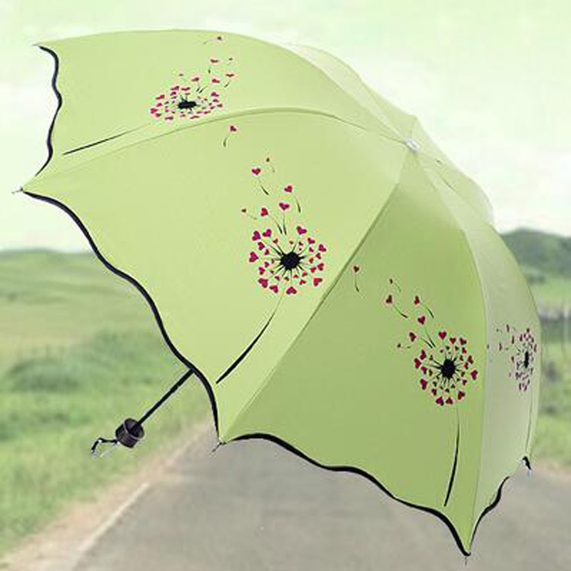 Umbrella-004-08