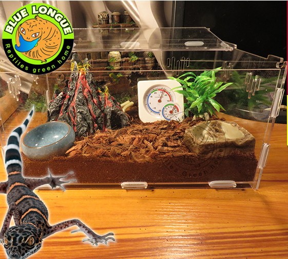 30 X 20 15Crystal Acrylic Herp Pet Cage,Small box mosquera acrylic pet feeding box scorpion scollops pet box 