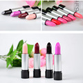 New 1 PCS Nude Colors Cosmetic Makeup Lasting Bright Lipsticks Lip Gloss