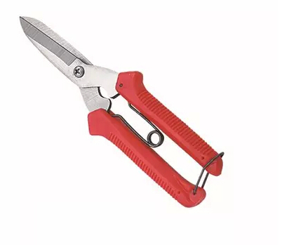 Free-shipping-Picking-scissors-font-b-small-b-font-scissors-pruning-shears-cut-flowers-pruning-shears.jpg