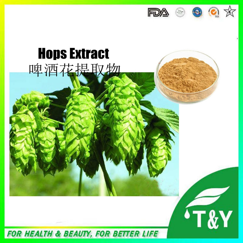 GMP Manufacturer High Quality &100% natural humulus lupulus hops extract 700g/lot
