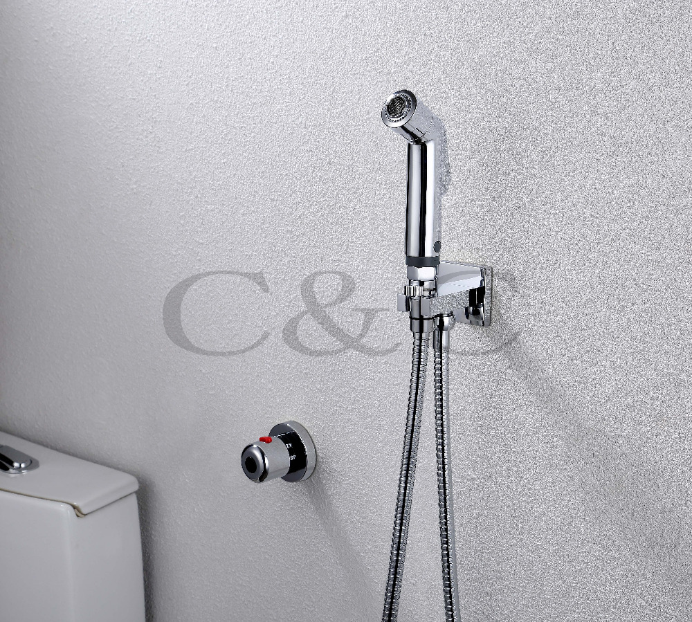 Фотография Thermostatic Bathroom/Toilet Multifunctional Shattaf Bidet Sprayer Pet Cleaner Bubble & Powerful Two Water Functions A1601D