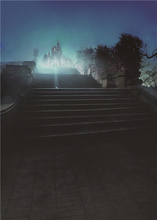 Castle photography backdrops photo studio vinyl 5x7ft or 3x5ft children stairs flight background props jiebj247