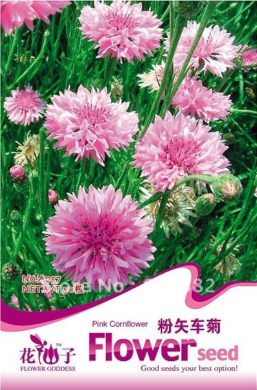 Карликовое дерево Flower goddness 3 * 50 A057 карликовое дерево flower goddess 3 nutate 50 a101