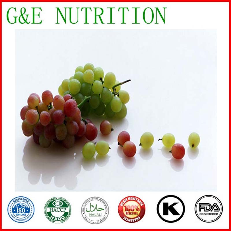 Organic Grape Seed Extract/Grape Seed Extract Powder 5:1 600g
