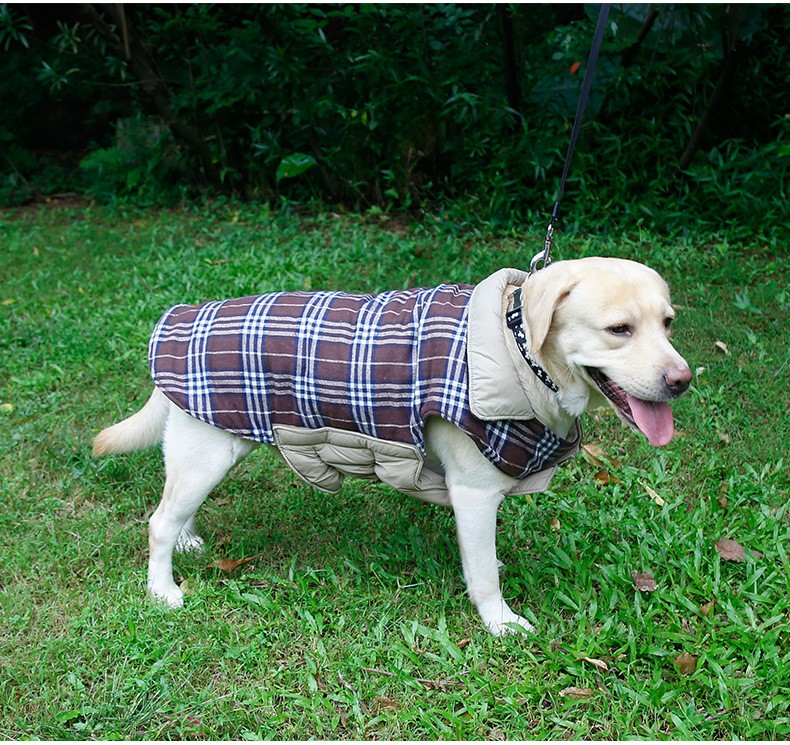 large dog clothes (5)
