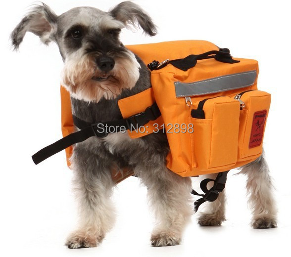 Camping backpack 101