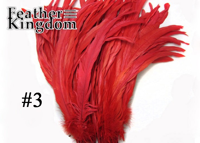 red rooster tail feather