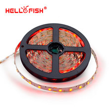 Hello Fish 5m 300LED Single Layer PCB 5050 LED strip 12V LED tape white warm white