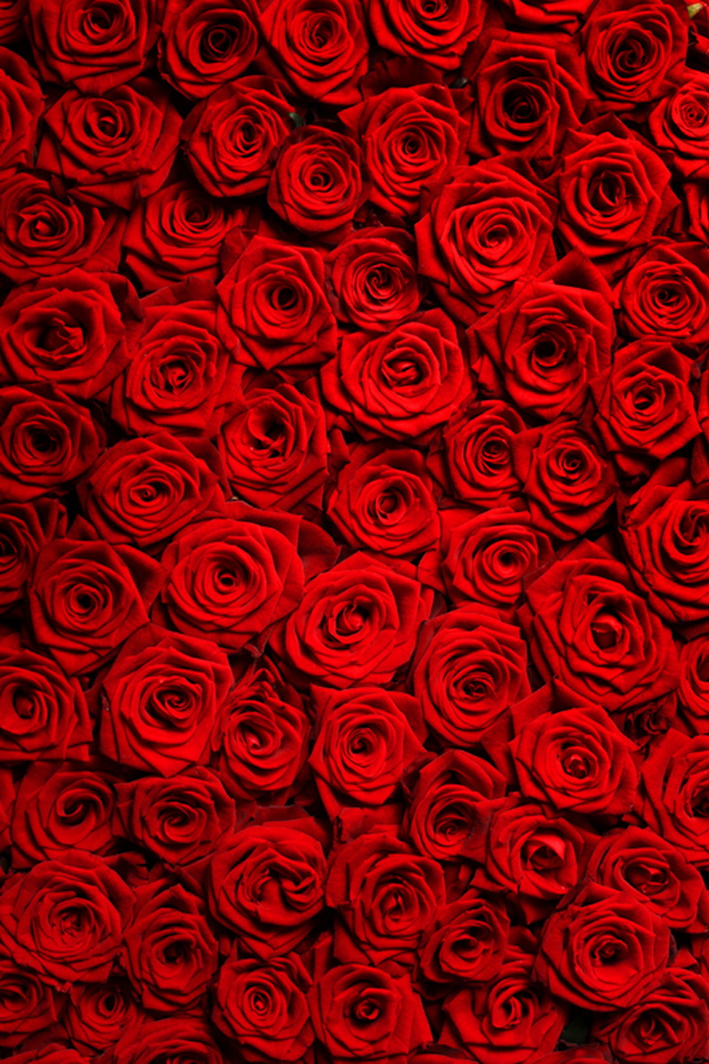 Rot farbe hintergründe werbeaktion shop für werbeaktion rot ...