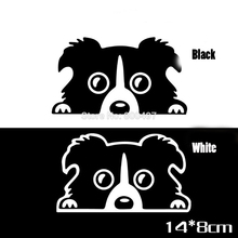 10 x Newest Design Car Styling Funny Border Collie Lovely Doggie Decal Decoration Decals for Tesla