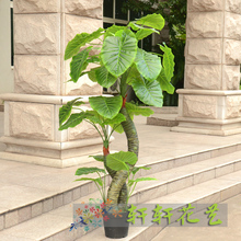 Artificial tree fake tree artificial flower living room decoration French silk flower plants large bonsai
