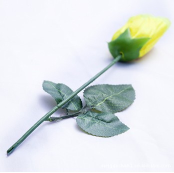 Color changing rose please girl attract girl s attention magic tricks