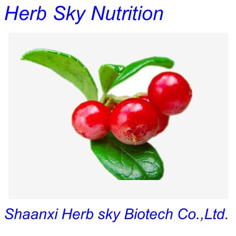 bearberry leaf extract arbutin,alpha arbutin,alpha arbutin cream 100g/bag