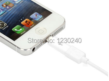 iPhone 5 Lighting 8 Pin Male Connector Converter to Micro USB 5 Pin Data Adapter 3.jpg