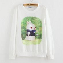 Mrs And cat Take a walk harajuku sweatshirt hoodies 2015 autumn style women hoodies tracksuits sport