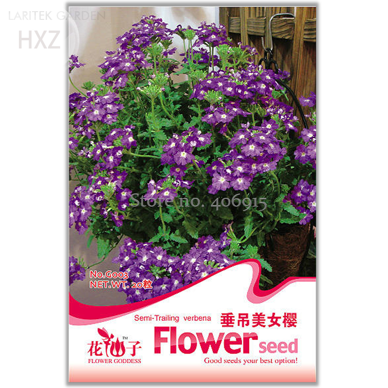 Beautiful Flower Hanging Verbena Seeds, Original Package, 20 seeds, balcony patio potted light up garden ornamental flowers G003