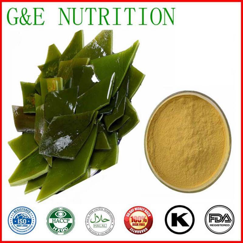 kombu kelp seaweed/kombu kelp seaweed powder/kombu kelp seaweed extract 300g