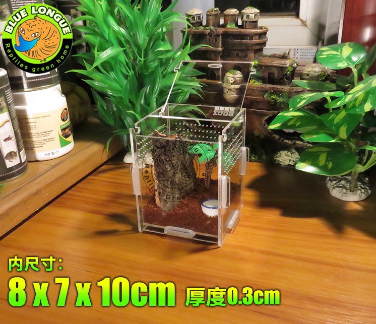 Crystal Acrylic Herp Pet Cage, Small box mosquera acrylic pet feeding box scorpion scollops pet box 7 x 8 x 10 cm01