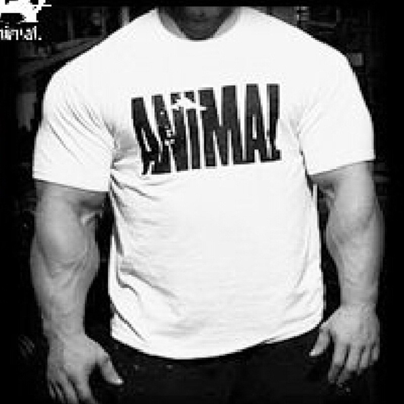 Trends-in-2014-fitness-cotton-brand-clothes-for-men-Animal-print-tracksuit-t-shirt-Gym-muscle (2)